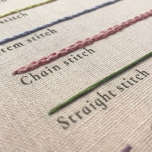 May include: A close-up of a white fabric with different coloured embroidery stitches. The stitches are labelled "Back stitch", "Split stitch", "Stem stitch", "Chain stitch", "Straight stitch", and "Running stitch".