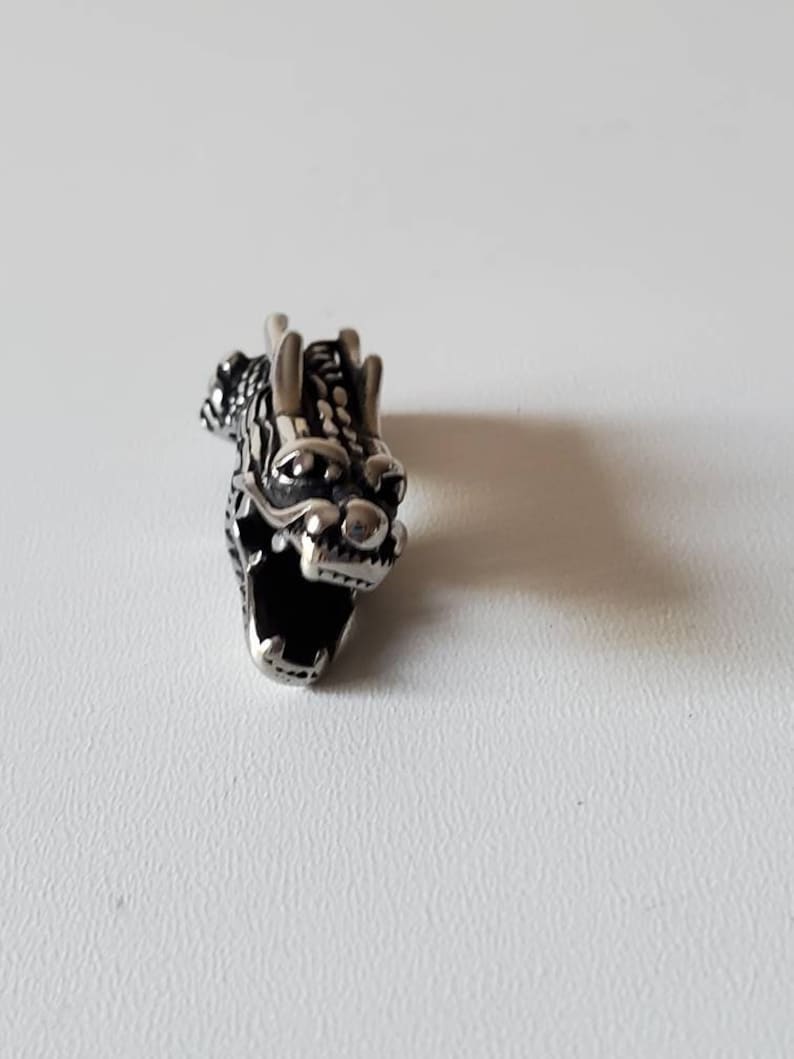 May include: A detailed, silver-colored dragon head pendant. The dragon's features include textured scales, horns, and an open mouth revealing teeth. The pendant is set against a white background.