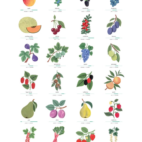 Fruit Poster Etsy UK