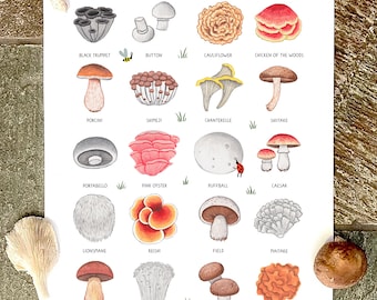 Mushroom Chart (A3)