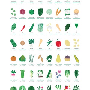 Seasonal fruit and vegetable art print A2 Illustrated food art Gardening print nature lover wall art vegetable illustration image 3