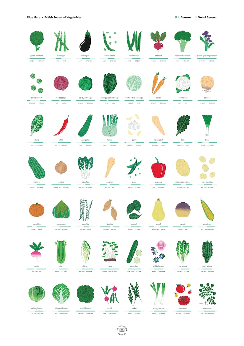 Seasonal fruit and vegetable art print A2 Illustrated food art Gardening print nature lover wall art vegetable illustration image 3