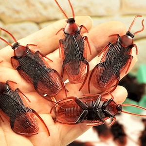 May include: A hand holding several realistic-looking plastic cockroaches. The cockroaches are brown and black with segmented bodies and long antennae.