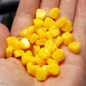 May include: A close-up of a hand holding a pile of bright yellow corn kernels. The kernels are smooth and shiny. The corn is a vibrant yellow colour, and the hand is pale.