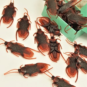 20 LIFELIKE COCKROACHES HALLOWEEN Roach Bugs Halloween craft bugs Real Size Cockroach Small Gift For Kids Scary insects Spooky embellishment