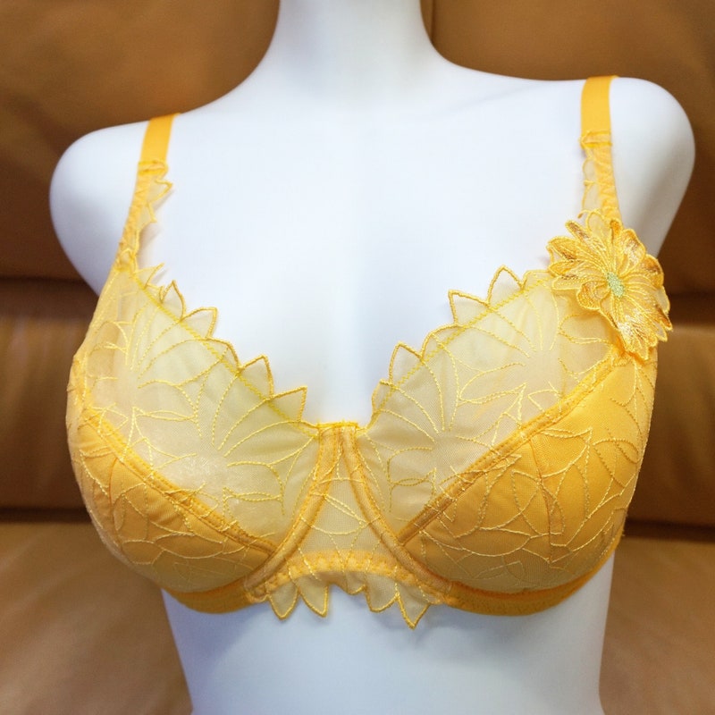 Classic bra with cups main image 1