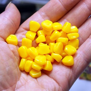 May include: A handful of yellow corn kernels, likely for fishing bait.