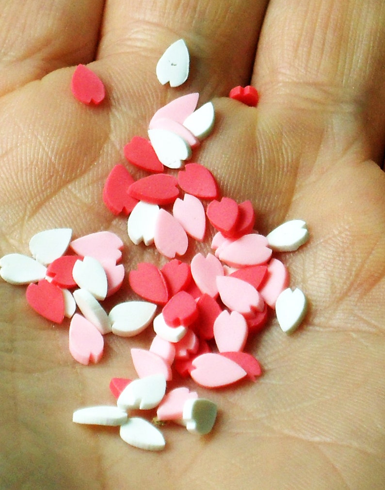 SET of 8 DIY SPRINKLES Assorted Resin Sprinkles for Craft Etsy