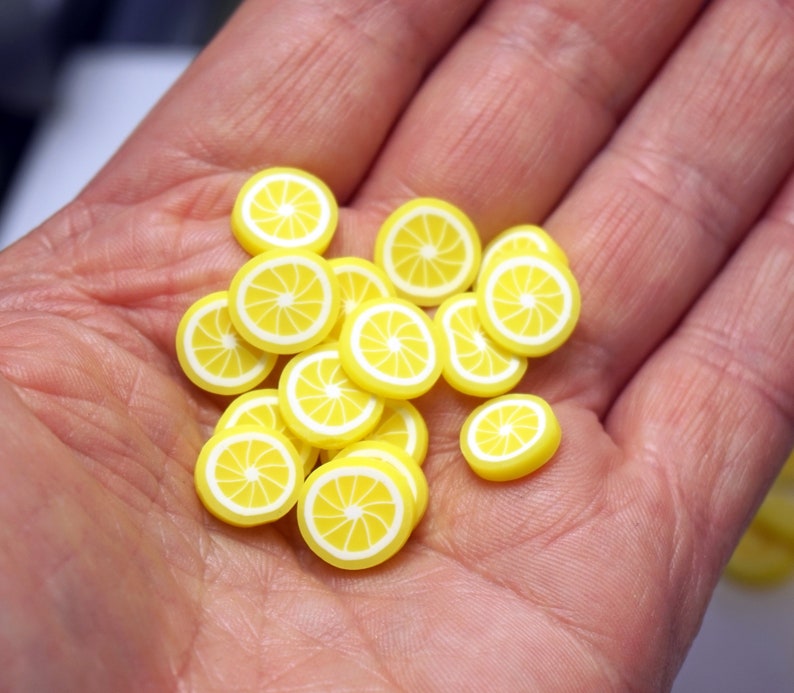 CITRUS LEMON FIMO Slices For Craft In Gift Box Polymer Clay Etsy