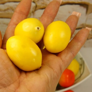 FAKE MINI FRUITS for kitchen decor, Green apple lemon and tangerine, Holiday gift set, Small gift in bag, Party decor fruits Lifelike citrus LEMON