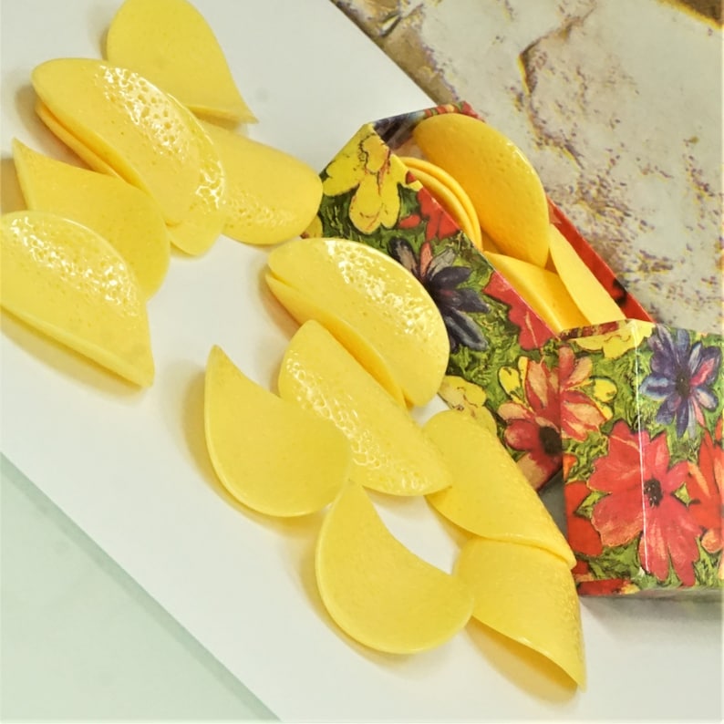 FAKE POTATO CHIPS In Gift Box Etsy