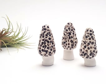 Handmade ceramic mushrooms | Unique brown Morchella terrarium sculptures | Miniature forest garden art decor | SET of 3 | READY to SHIP