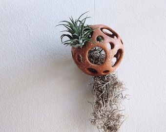 Beautiful organic ceramic air plant holder 1x | Handmade hanging sculpture | Tillandsia wall art hanger | Terracotta glimmer | READY TO SHIP