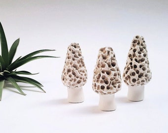 Ceramic Mushrooms Set | Handmade Unique Morchella Terrarium Sculptures | Miniature Beige Herbarium Garden Decor | SET of 3 | READY to SHIP
