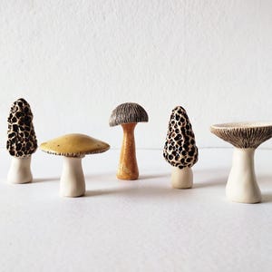 Handmade ceramic mushroom set | Miniature herbarium decor