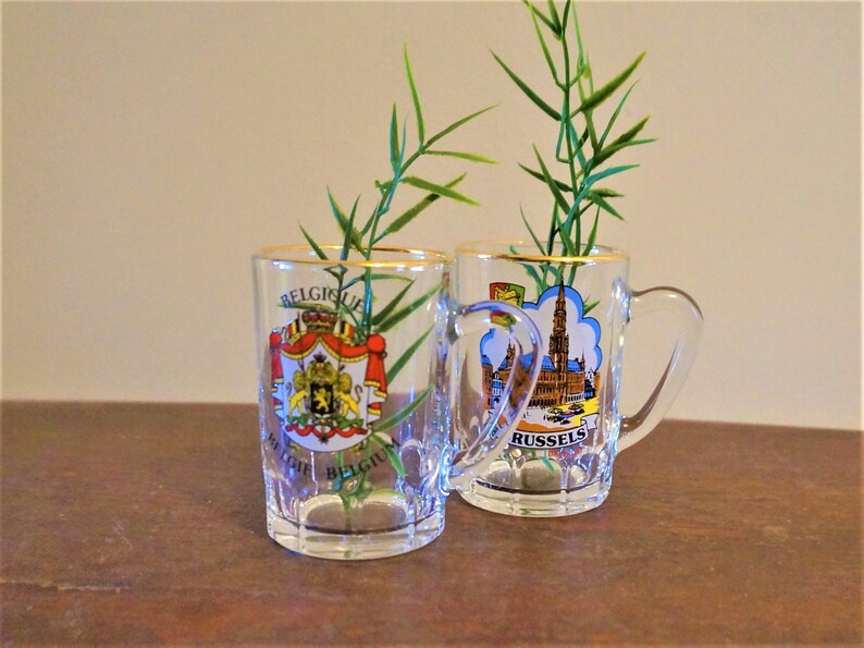 Mini Glass Beer Steins From Belgium Brussels Shot Glasses Etsy