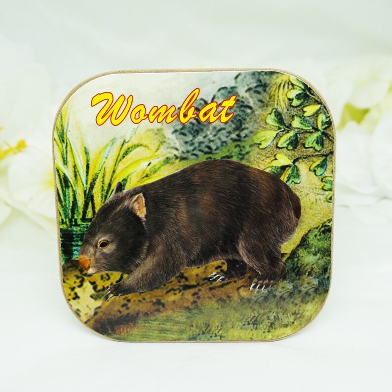 Australia Souvenir Coasters Set of Six Original Box FREE Etsy