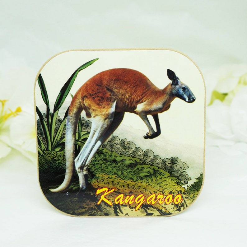 Australia Souvenir Coasters Set of Six Original Box FREE Etsy