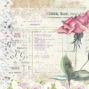 May include: A vintage-style image featuring a pink rose with green leaves and a bud. The background is a faded, cream-colored paper with handwritten text in German and French. The text includes the words "Schnau, Maurer, Cement & S" and "28 Novembre".