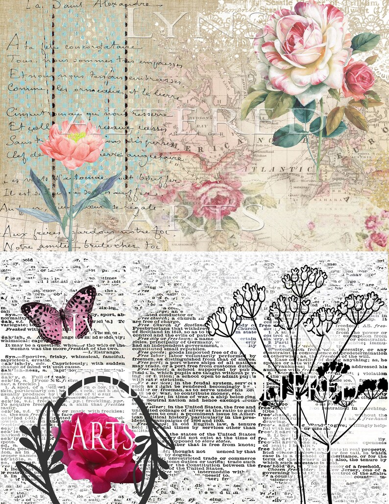 May include: A vintage collage featuring a map with text in French, a butterfly, and pink roses. The text reads "Aux freces lardoi notre foi. Notre amite brute chen toi."