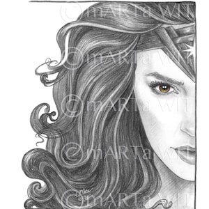 DC13 - Stampa artistica dei fan - Wonder Woman