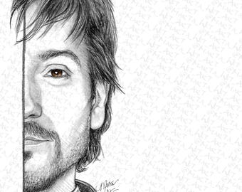 Cassian Andor, Rogue One, Diego Luna 8.5