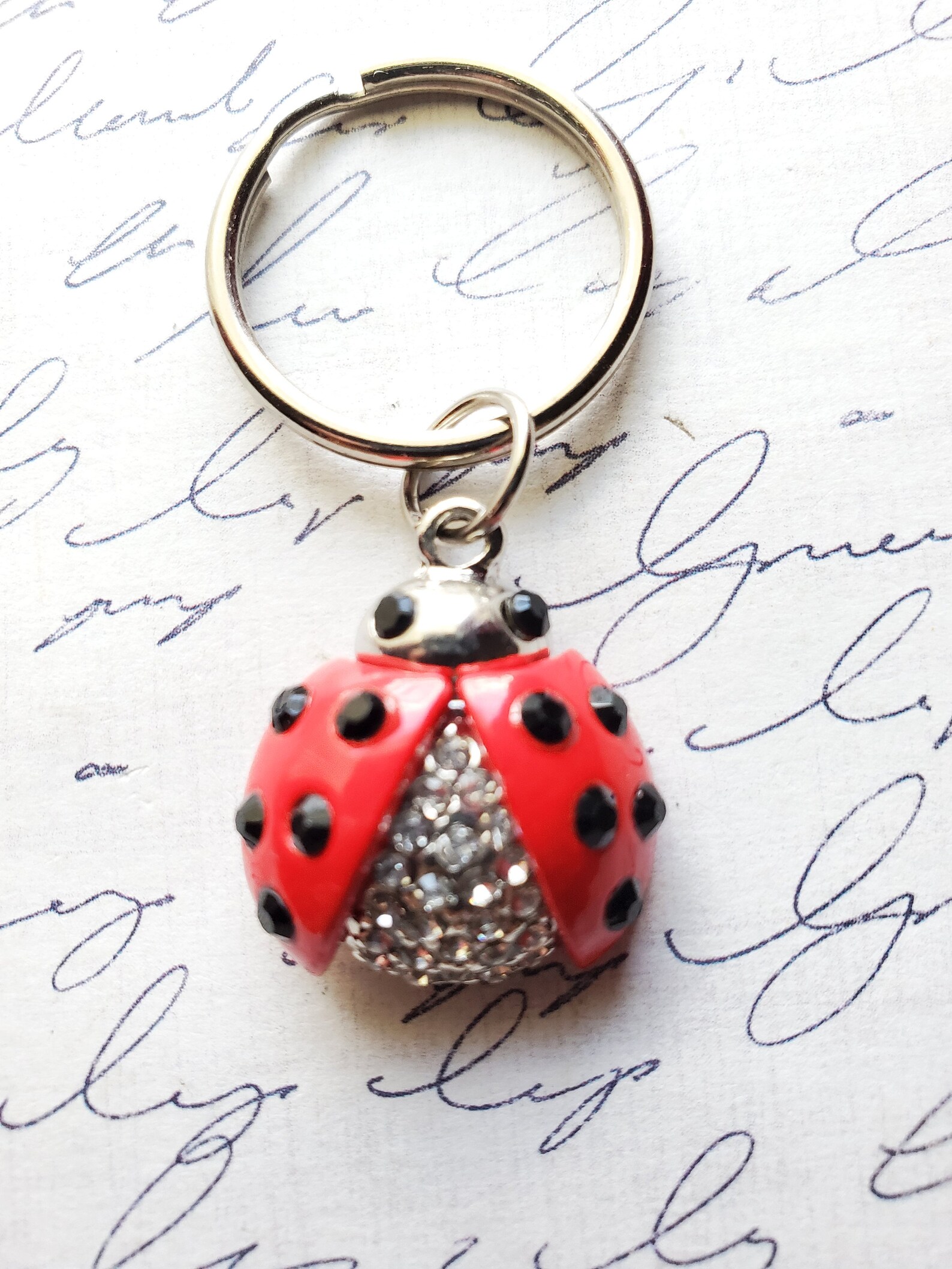 Ladybug Keychain Charm Keychain Gifts for Her Insect Keychain Etsy