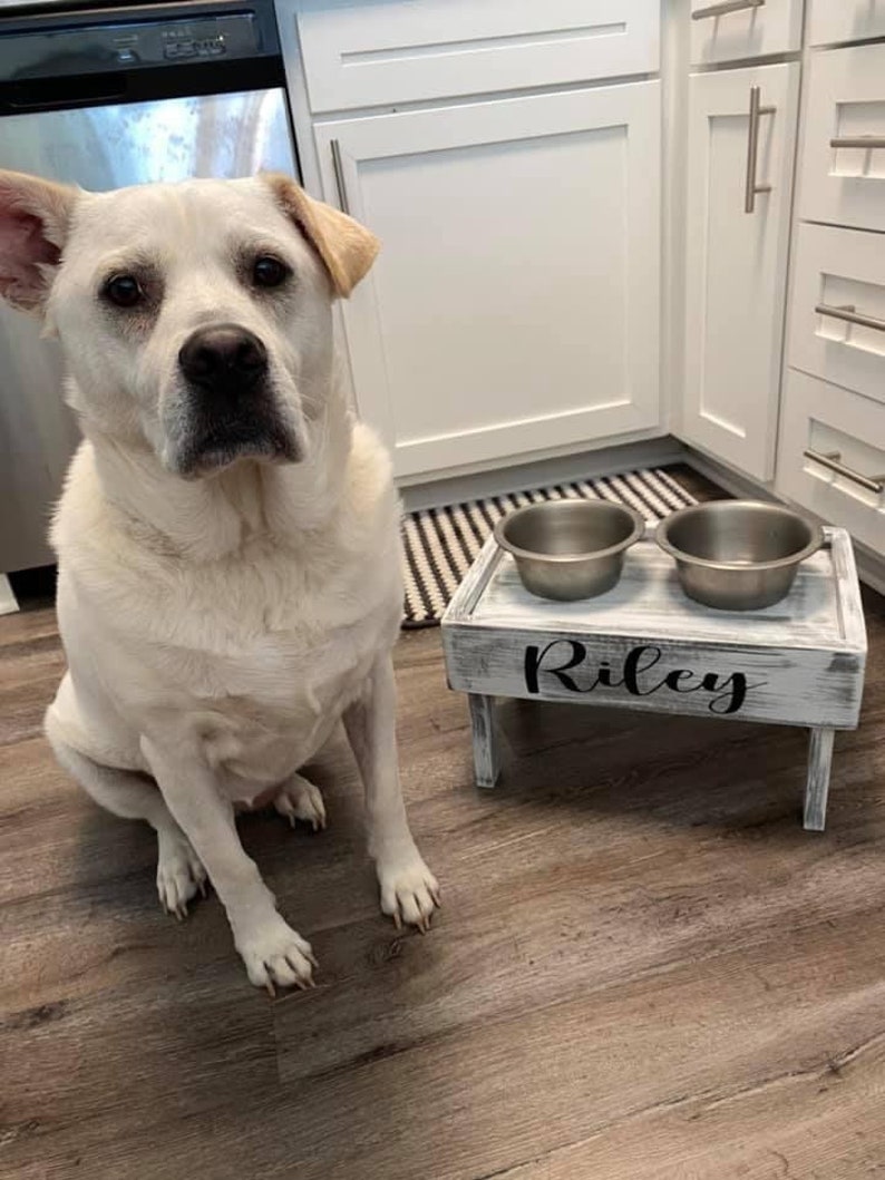 Dog Bowl Stand Raised Dog Bowl Custom Dog Name Food Stand Etsy