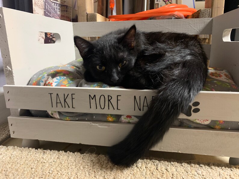 Rustic Cat Small Dog Bed Insert Included Puppy Bed Etsy