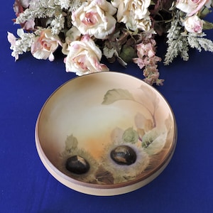 Unique Footed Nippon Bowl with Flowers and Sculpted Acorns. (Embossed) 1891-1921