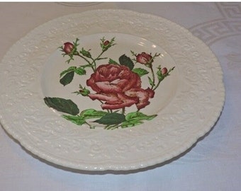 Clearance Center Vintage English Royal Cauldon Ironstone plate with vibrant RED ROSES & buds 2475