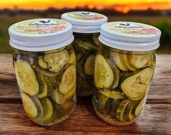 Homemade bread & butter pickles
