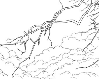 Between Leaves and Sky – Motivational Coloring Book (14 Nature Coloring Pages + 14 Motivational Quotes)