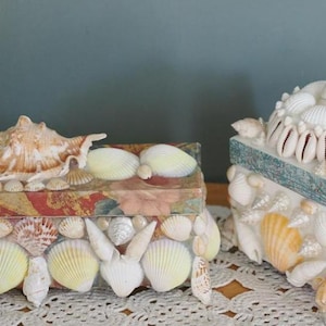 Shell art jewelry storage seashell box boho