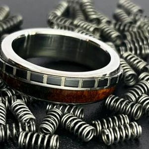 Può includere: Un anello caratterizzato da una fascia in metallo lucido color argento con un inserto centrale in legno marrone scuro e una fila di piccole piastrelle nere quadrate. L'anello è circondato da una collezione di numerose piccole molle metalliche argentate.