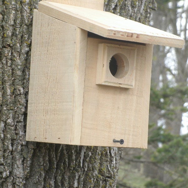 Cedar Bluebird bird house, Cedar birdhouse, Wren birdhouse, bird house, cedar nesting box, bluebird house, nesting box, Wild bird bird house