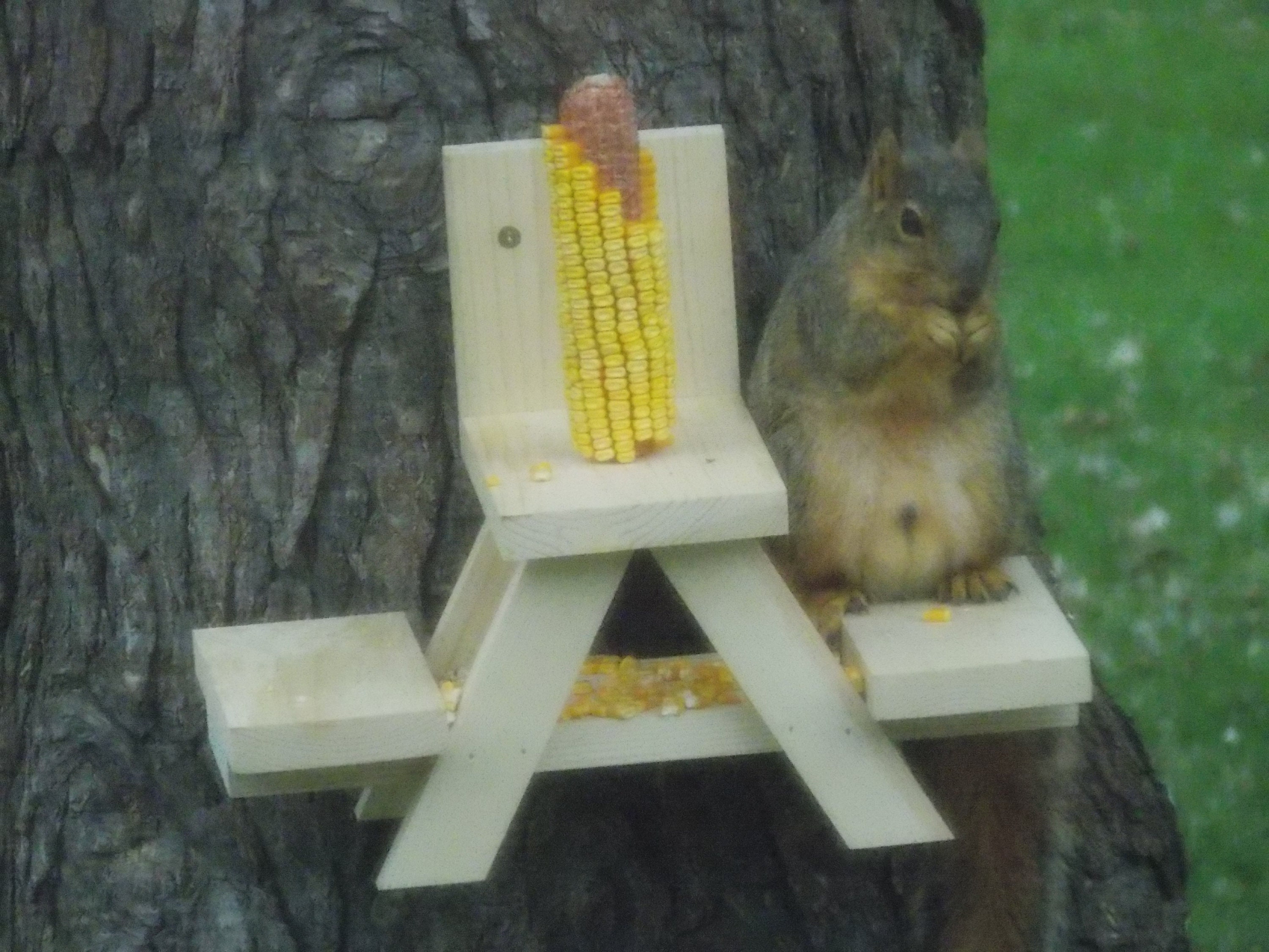 Mangeoire pour écureuils toit en métal bois de pin non traité