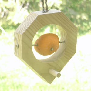 fruit feeder, fruit bird feeder, bird feeder, wild bird feeder, bird feeding station, wooden bird feeder, hanging bird feeder,
