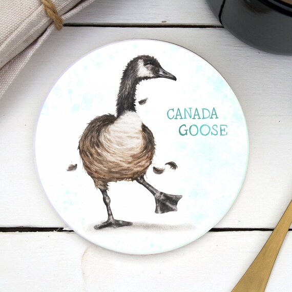 canada goose 10k 2018 zip code