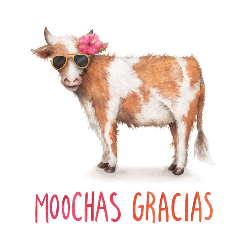 Puede incluir: Una ilustraci&oacute;n de acuarela de una vaca marr&oacute;n y blanca con gafas de sol y una flor rosa. La vaca est&aacute; de pie sobre un fondo blanco y el texto "MOOCHAS GRACIAS" est&aacute; escrito debajo de la vaca.