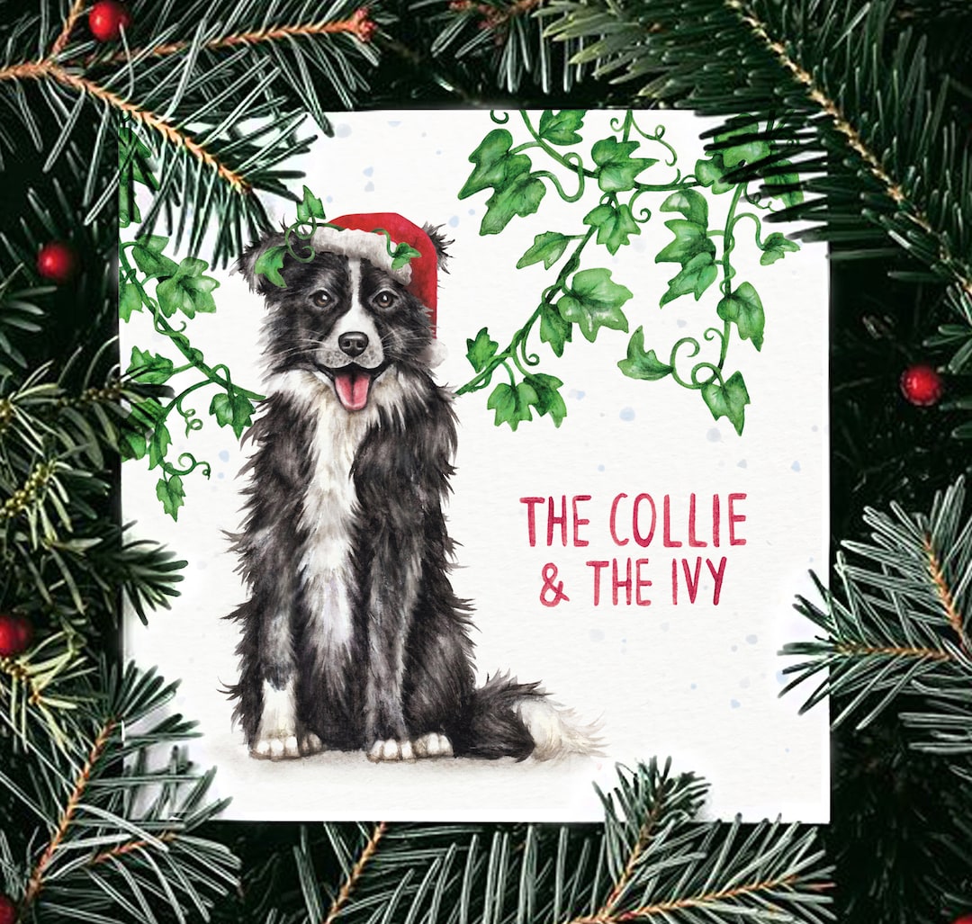 Funny Collie Christmas Card | Cute Dog Spaniel Quirky Pun Joke Card ...