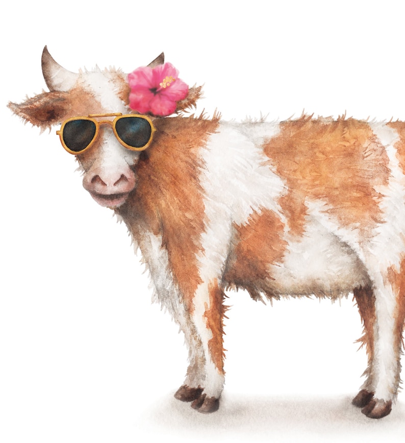 Puede incluir: Una vaca marr&oacute;n y blanca con una flor rosa detr&aacute;s de la oreja y gafas de sol doradas. La vaca est&aacute; de pie sobre un fondo blanco.