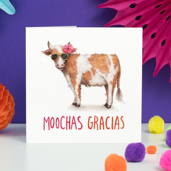 Moochas | Funny Thank you Card | Muchas Gracias | Spanish Cow Thanks Card