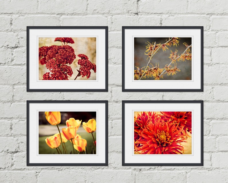 Gallery Wall Floral Photography Print Set of 4 Wall Art Etsy
