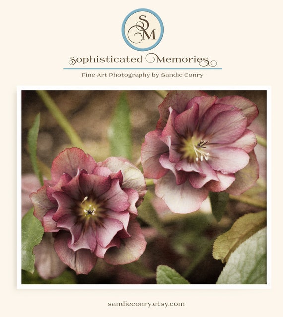 Flower Print Farmhouse Decor Nature Photography