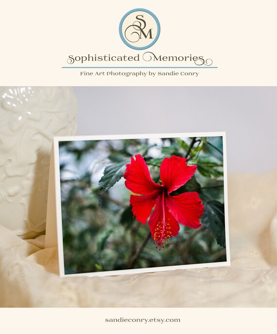 Carte De Vœux Florale Dhibiscus Rouge Fleurs Tropicales Exotiques Carte De Note De Photo De Fleur Carte De Vacances De Noel Carte Blanche Ou