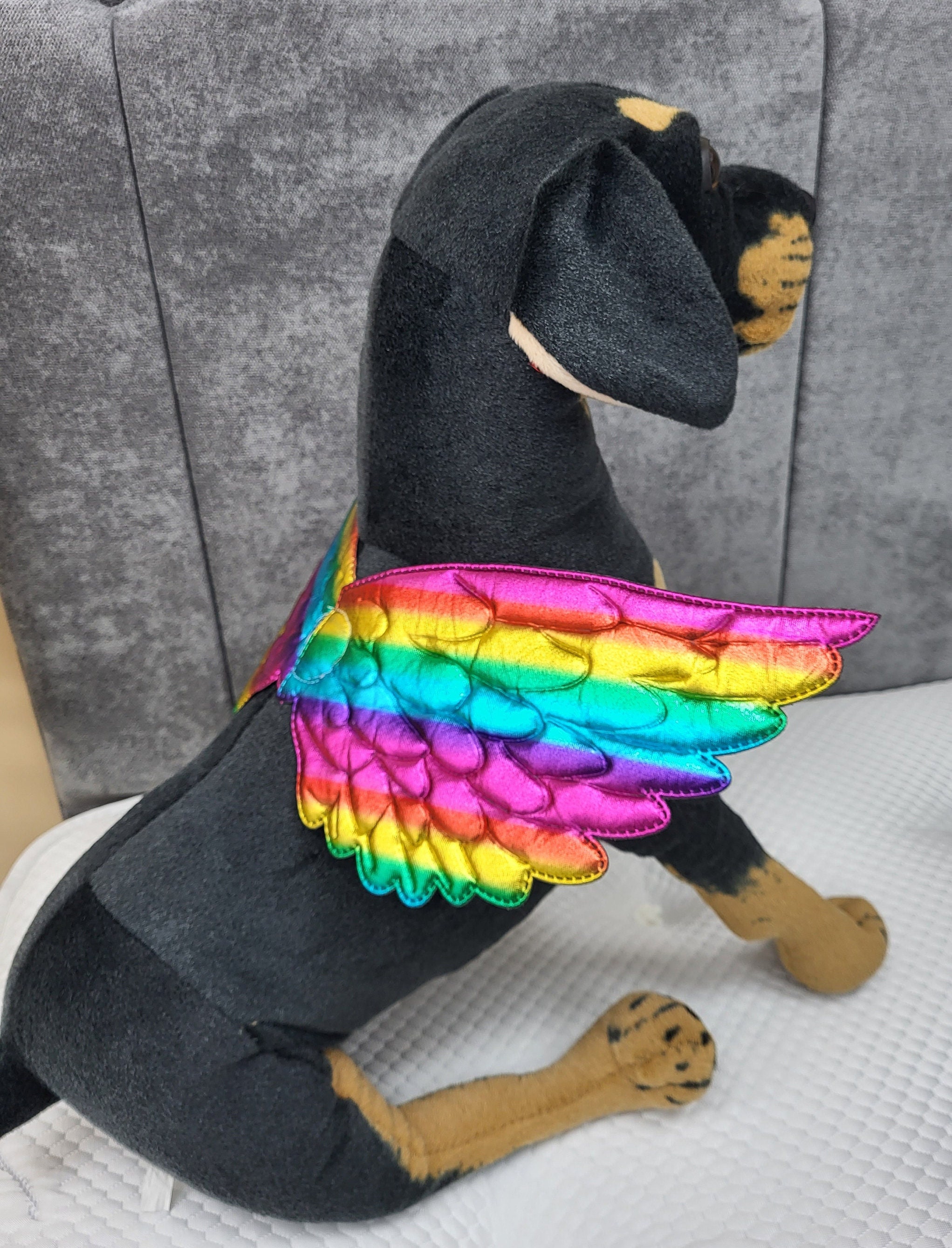 Dog Rainbow Costume 
