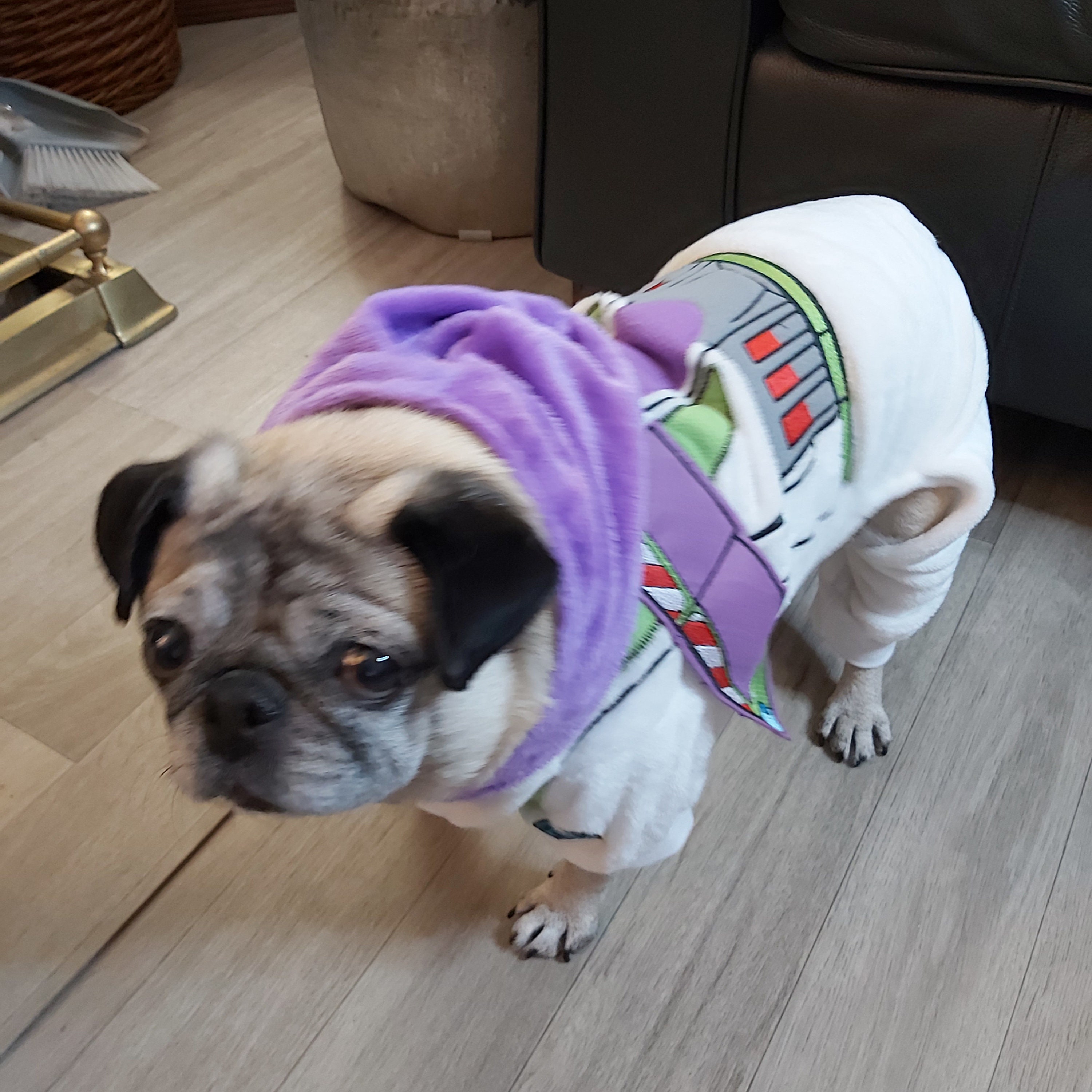 24+ Buzz Lightyear Costumes For Dogs