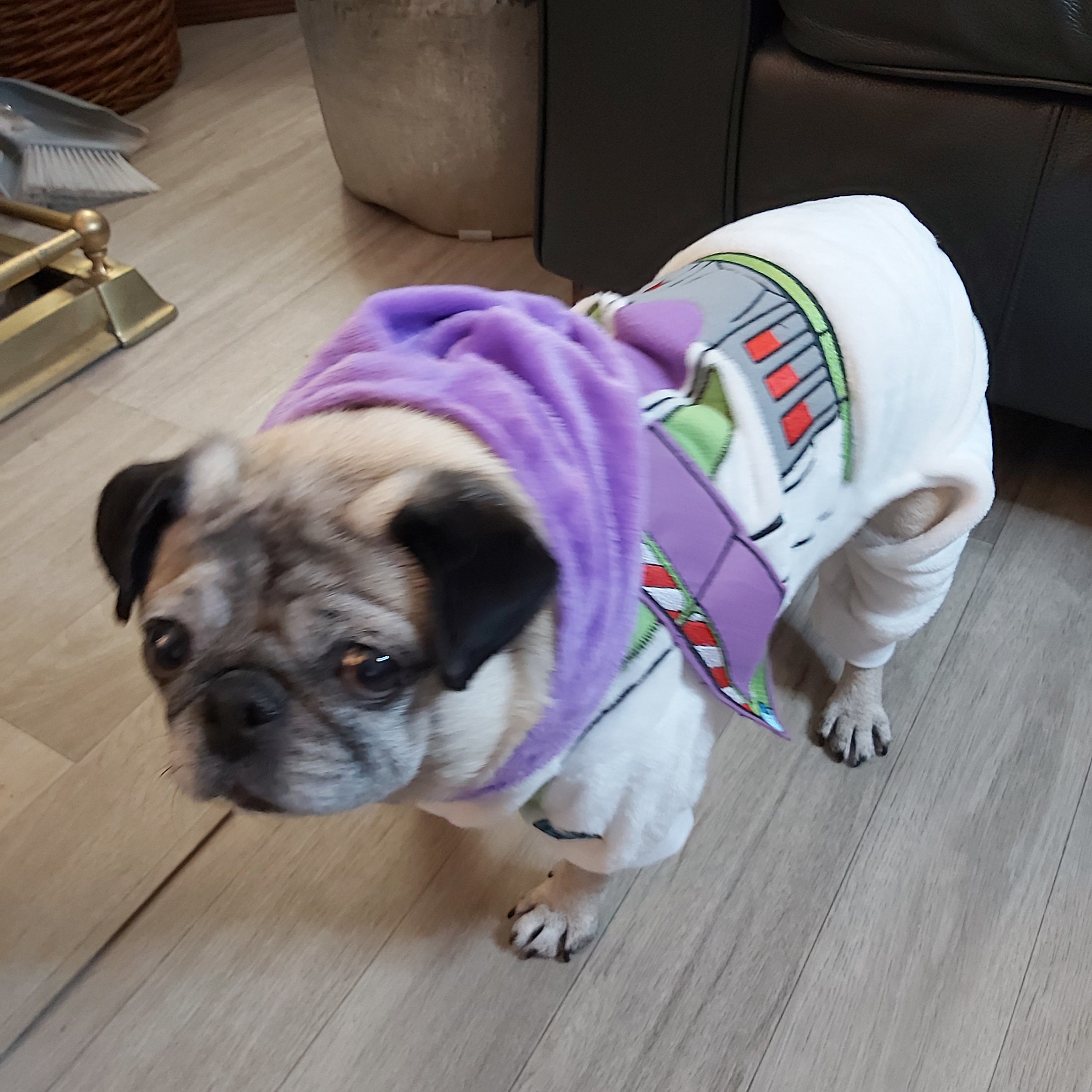 buzz lightyear dog harness - www.summafinance.com