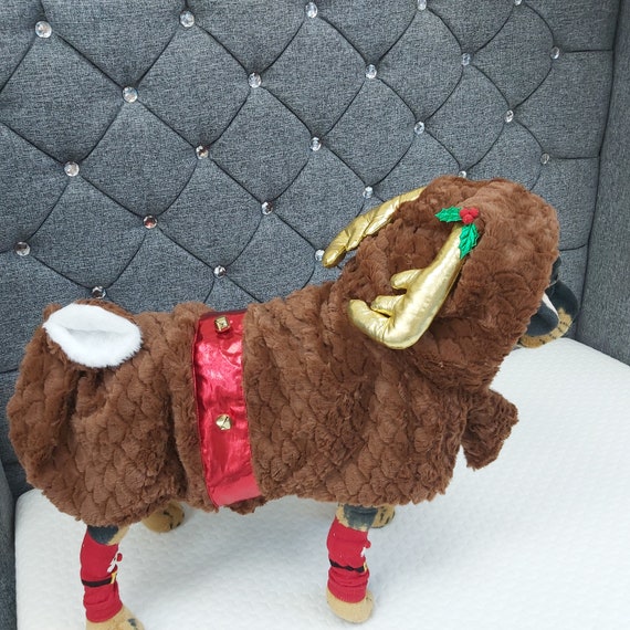 dog rudolph costume